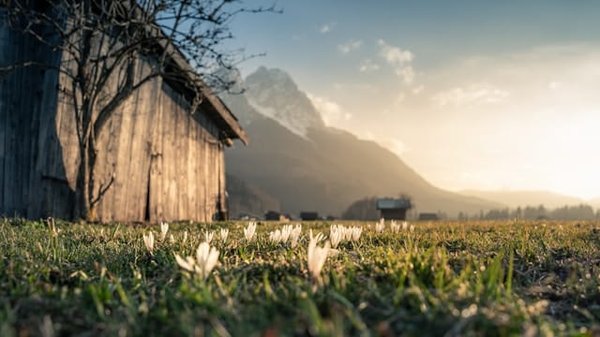 Guide ultime pour devenir propriétaire d'un terrain