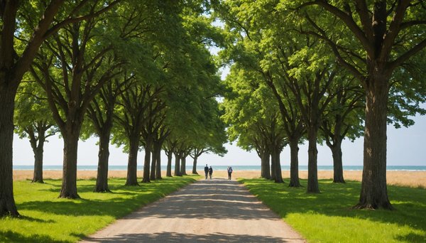 Vivre paisiblement à la clairière près de royan avec nature résidence silver